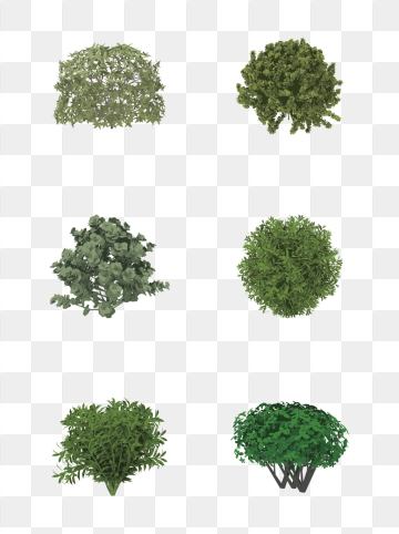 Shrub Png, Vector, And Clipart With Transparent Background 360x482 Shrub Png, Vector, And Clipart With Transparent Background