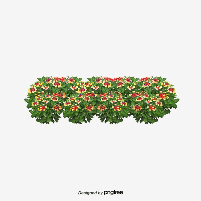 Shrub Png, Vectors, And Clipart For Free Download 640x640 Shrub Png, Vectors, And Clipart For Free Download