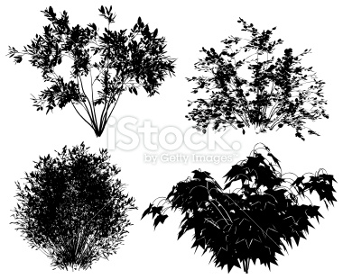 Free Vector Shrubs Images 380x310 Free Vector Shrubs Images