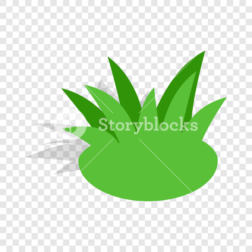 Shrub Isometric Icon On A Transparent Background Vector 1000x1000 Shrub Isometric Icon On A Transparent Background Vector