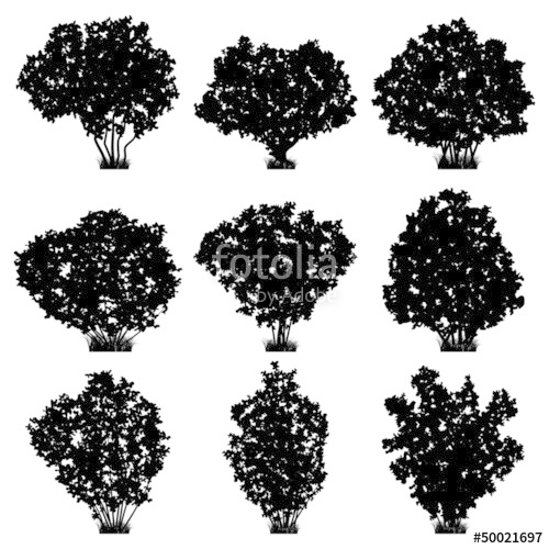 Shrubs Vector Silhouettes Stock Image And Royalty Free Vector 500x500 Shrubs Vector Silhouettes Stock Image And Royalty Free Vector