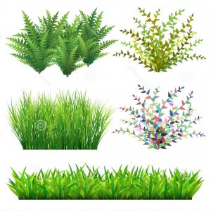 Stock Illustration Grass Wild Plants Vector Illustration Saved 300x300 Stock Illustration Grass Wild Plants Vector Illustration Saved