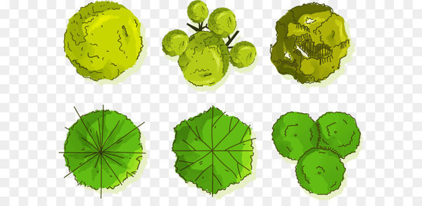 Tree Euclidean Vector Shrub 600x293 Tree Euclidean Vector Shrub
