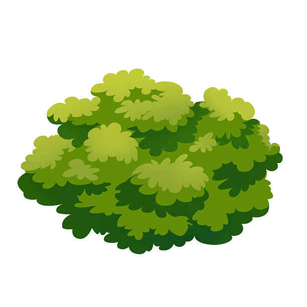Shrub Bushes Clipart 612x612 Shrub Bushes Clipart