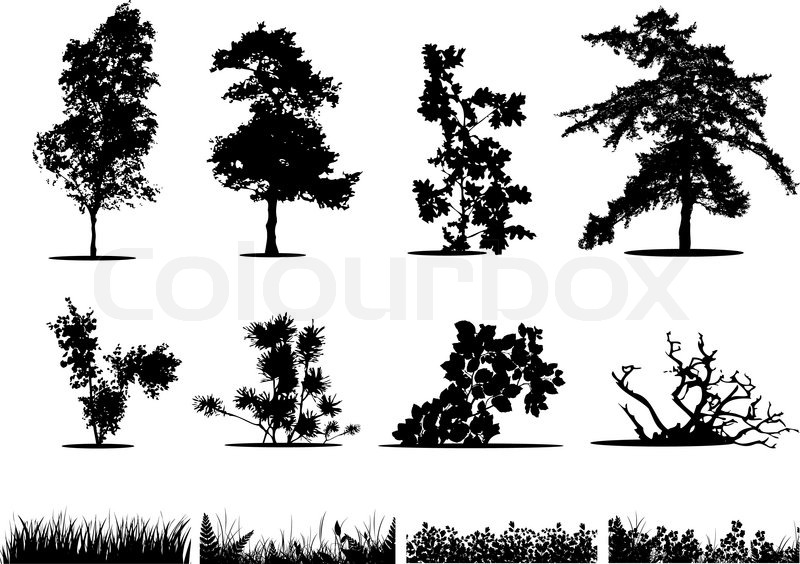 Trees, Bushes And Grass Silhouettes Stock Vector Colourbox 800x564 Trees, Bushes And Grass Silhouettes Stock Vector Colourbox