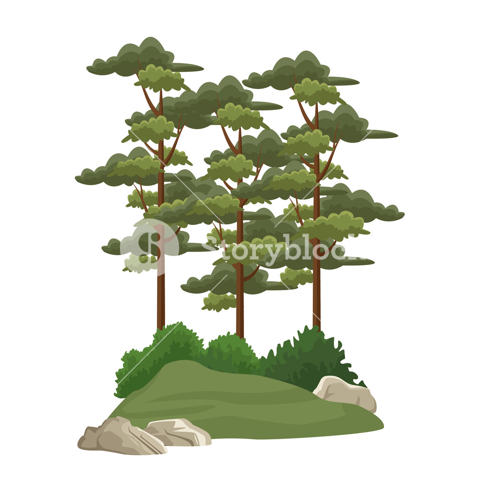 Trees And Bushes Vector Illustration Graphic Design Royalty Free 1000x1000 Trees And Bushes Vector Illustration Graphic Design Royalty Free