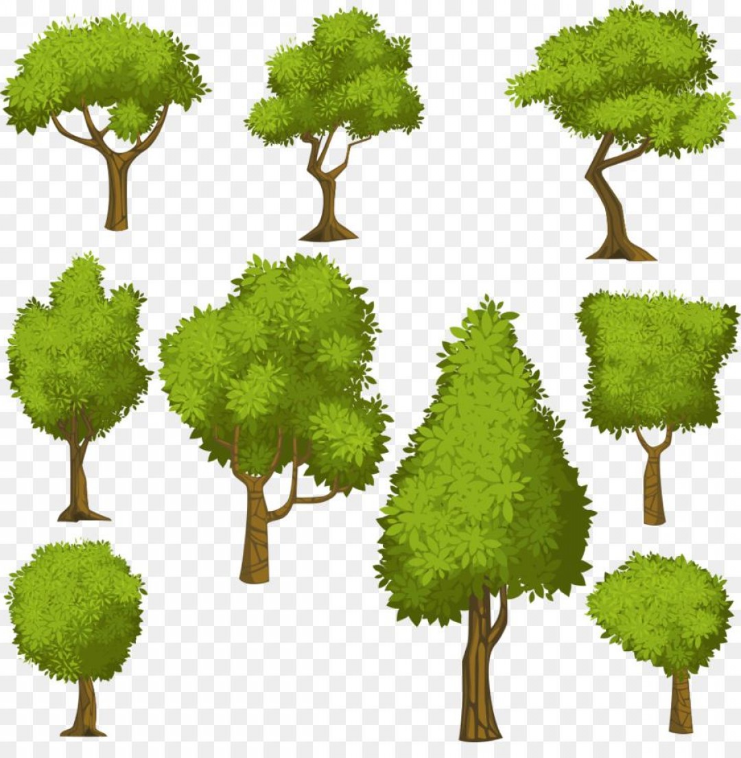 Best Free Tree And Shrub Illustrations Vector Image Handandbeak 1080x1104 Best Free Tree And Shrub Illustrations Vector Image Handandbeak