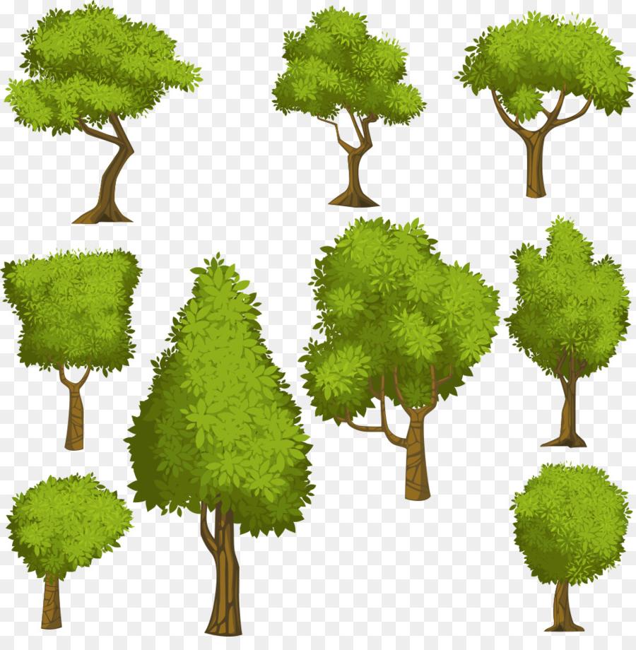 Best Free Tree And Shrub Illustrations Vector Image Free Vector 900x920 Best Free Tree And Shrub Illustrations Vector Image Free Vector