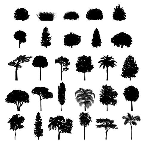 Collection Of Tree And Shrub Silhouettes Vector 490x490 Collection Of Tree And Shrub Silhouettes Vector