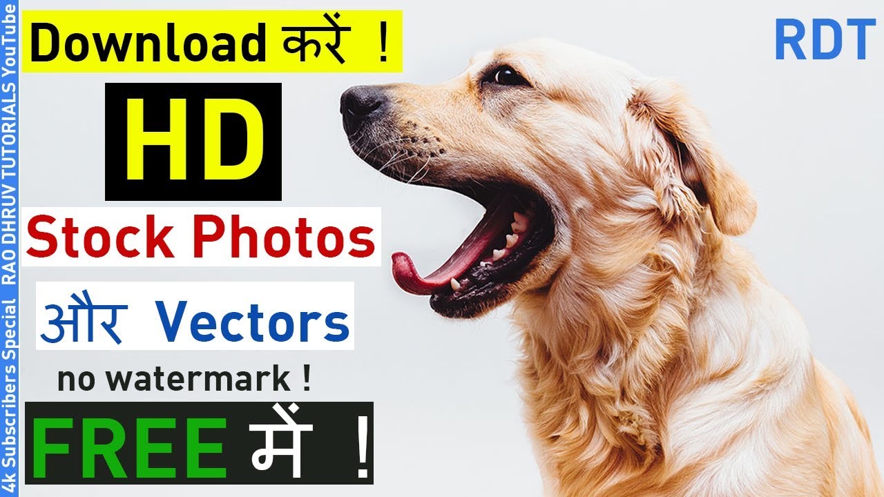 1280x720 How To Download High Quality Shutterstock Images For Free Without