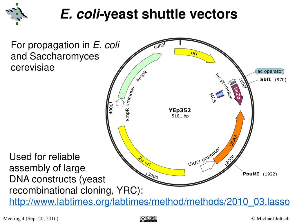 1024x768 Cloning Club Shuttle Vectors