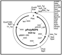 266x235 Shuttle Vector