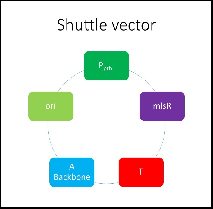 707x691 Teamou Normanproject