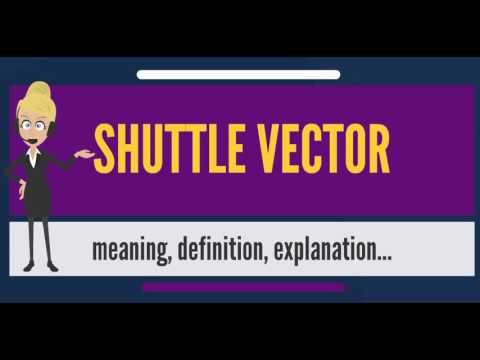 480x360 What Is Shuttle Vector What Does Shuttle Vector Mean Shuttle