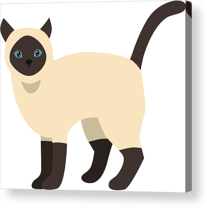665x668 Cartoon Vector Siamese Cat Character Acrylic Print