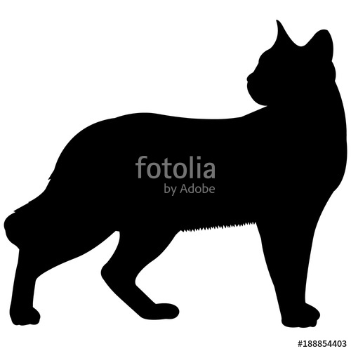500x500 Siamese Cat Silhouette Vector Graphics Stock Image And Royalty