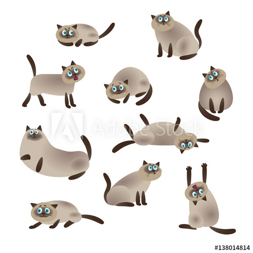 500x500 Siamese Cat, Collection Of Vector Illustration Of A Flat Style