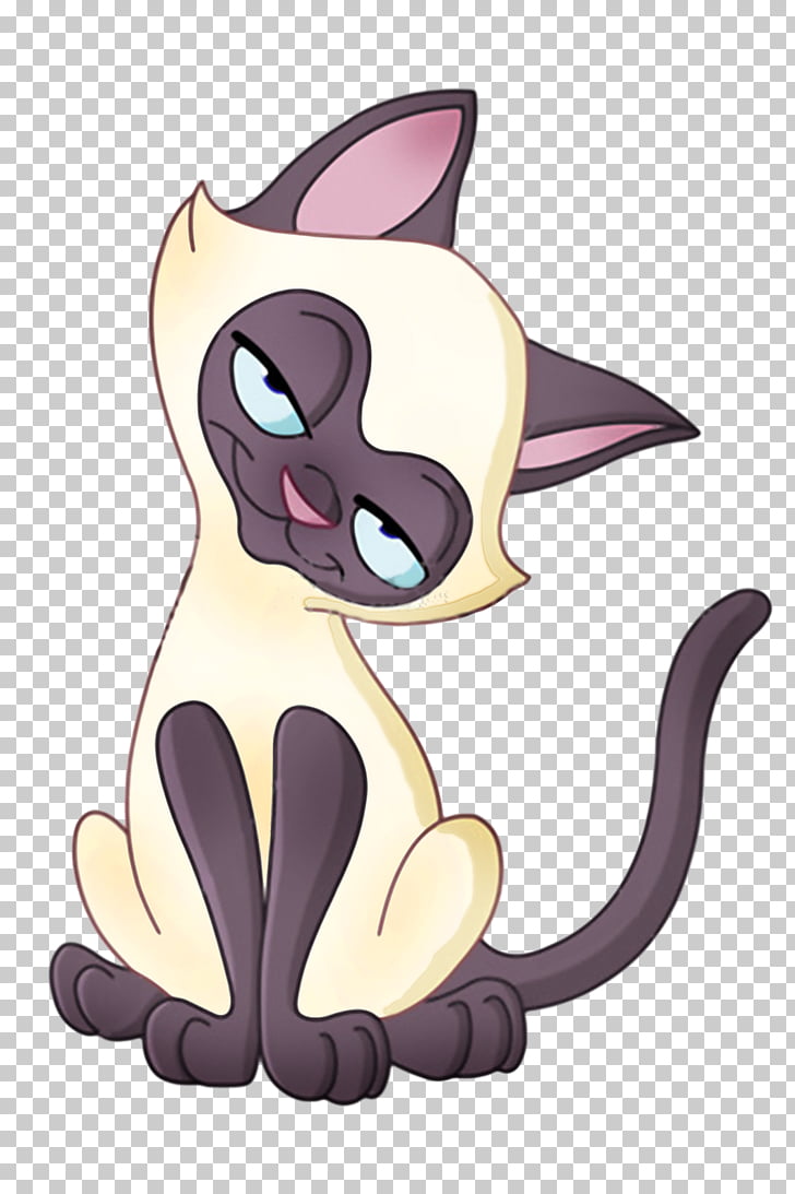 728x1093 Siamese Cat Kitten Cat Png Clipart Free Cliparts Uihere