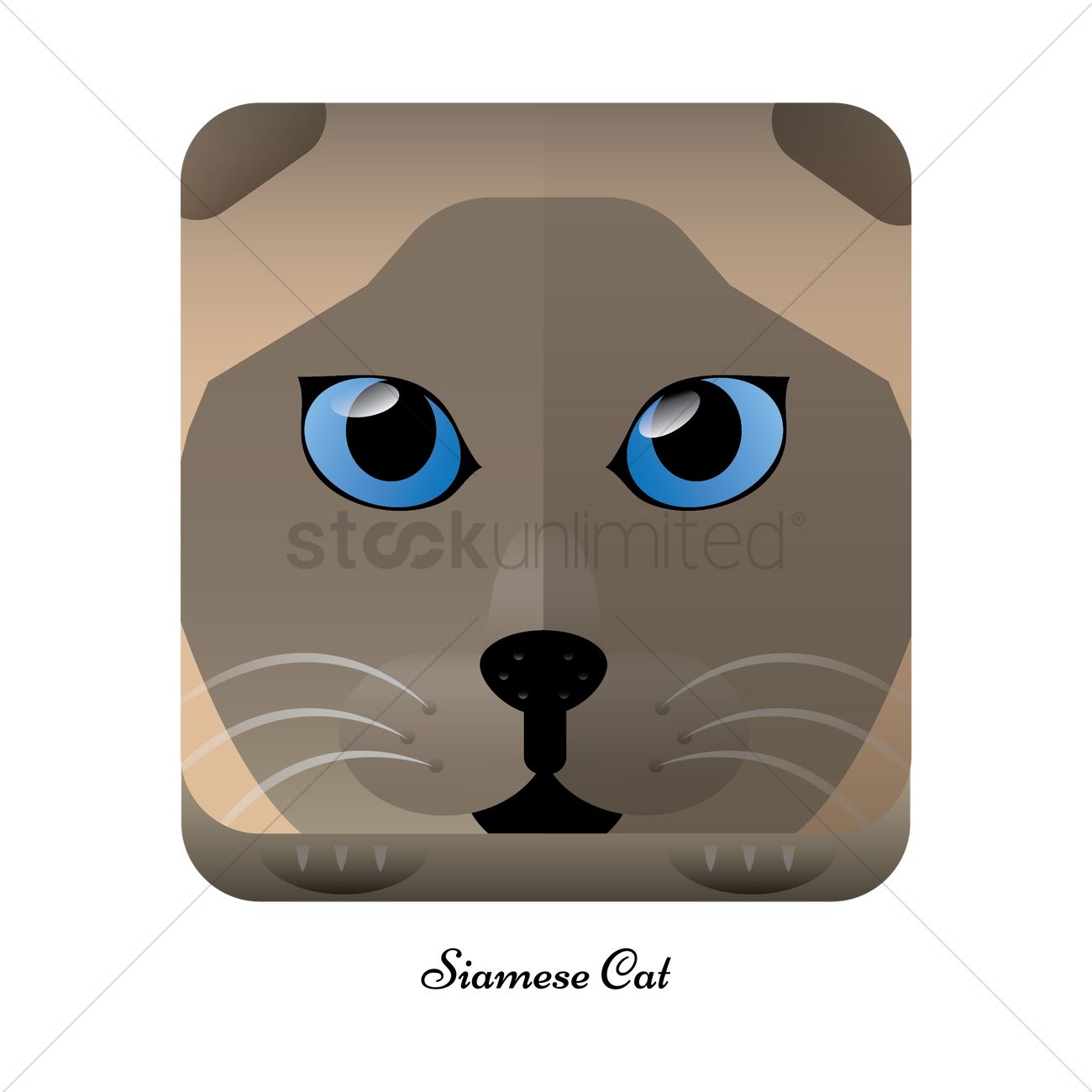 1300x1300 Siamese Cat Vector Image