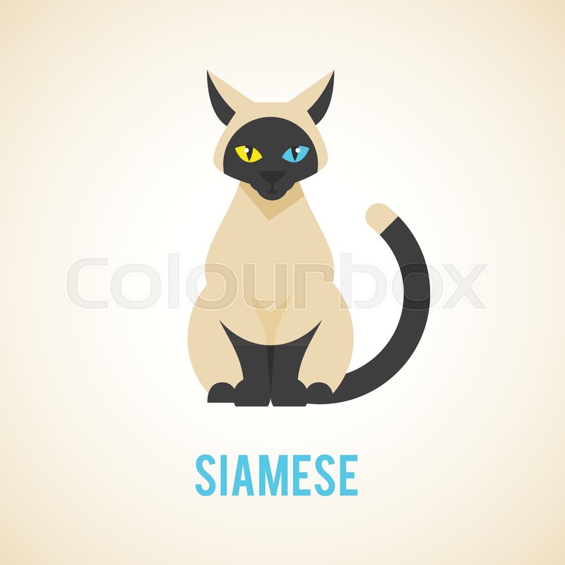800x800 Siamese Cat Is Sitting Animal In A Stock Vector Colourbox