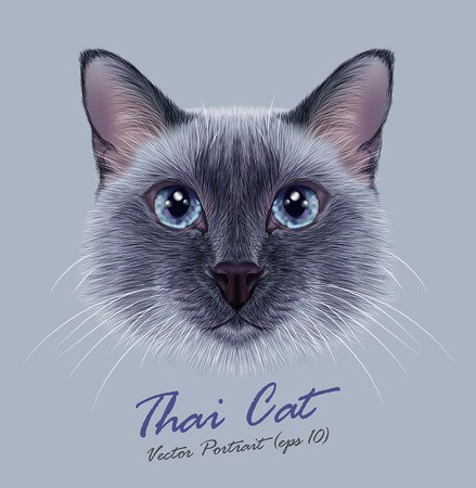 439x450 Head Siamese Cat Cute Cartoon Cat Royalty Free Vector Graphics