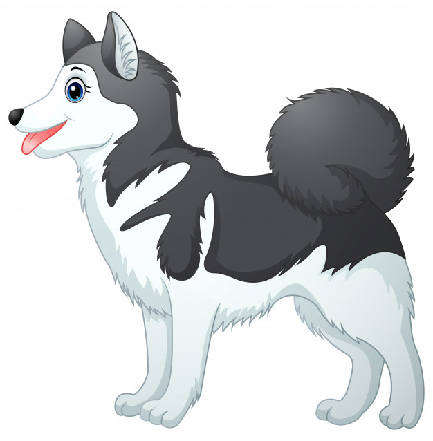 Download Siberian Husky Vector at Vectorified.com | Collection of ...