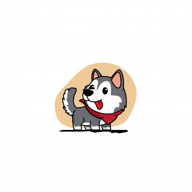 626x626 Husky Vectors, Photos And Free Download
