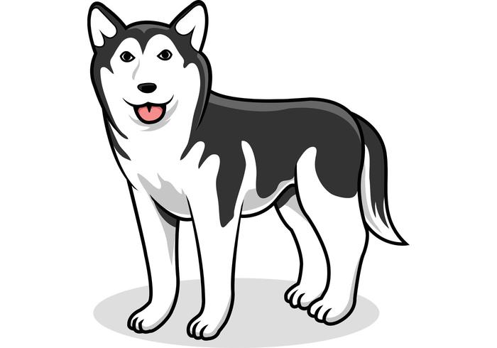 700x490 Siberian Husky Vector Dog Stock Images