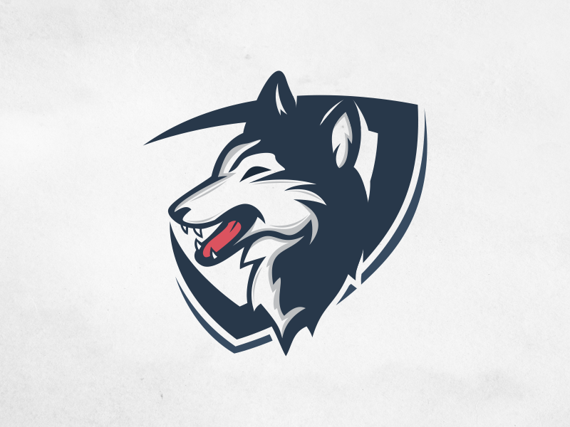 800x600 Siberian Husky