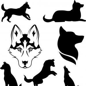 300x300 Silhouette Of A Dog Of Breed Siberian Husky Vector Catchsplace