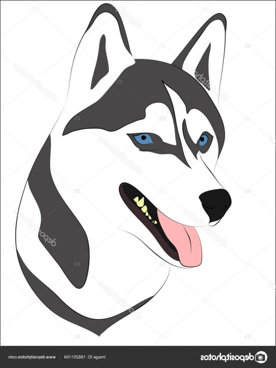 921x1228 Stock Illustration Husky Dog Vector Art Cultracing
