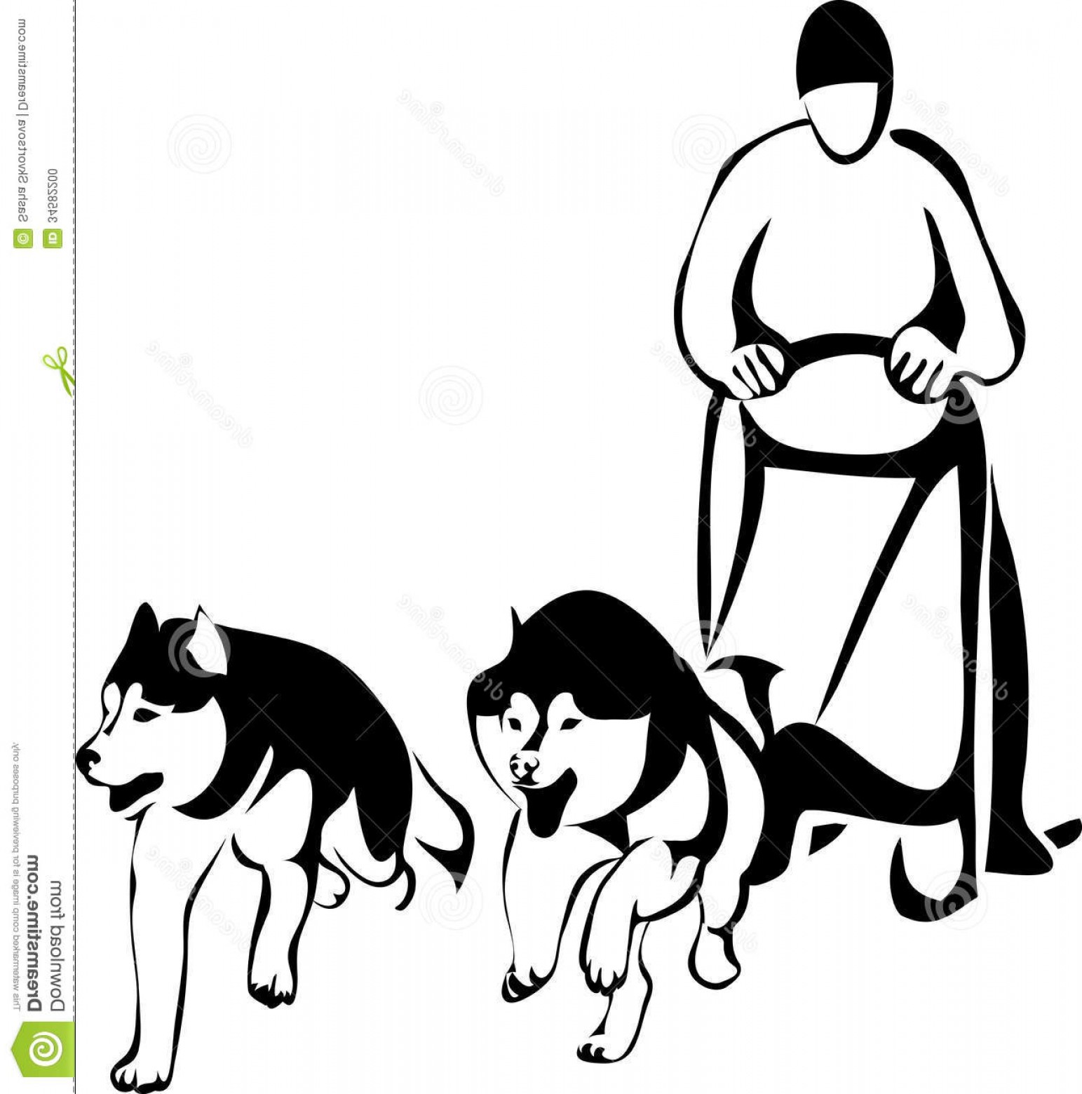 1543x1560 Stock Photo Sled Racing Dogs Two Siberian Huskies Vector Stylized