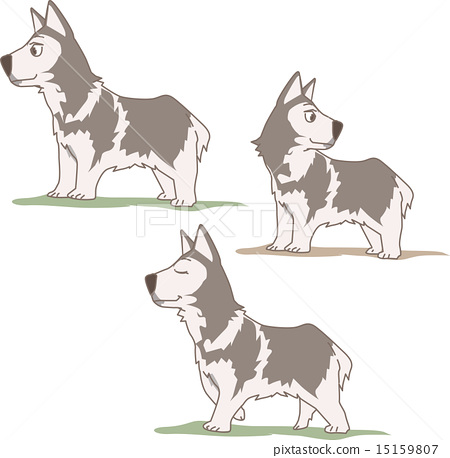 450x458 Siberian Husky, Vector, Vectors