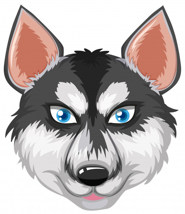 626x725 Face Of Siberian Husky Vector Free Download