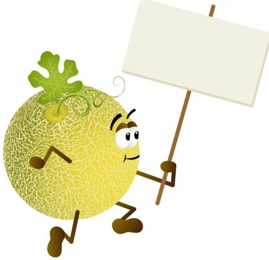 539x520 Cantaloupe Melon Holding Blank Signboard Vector Free Download