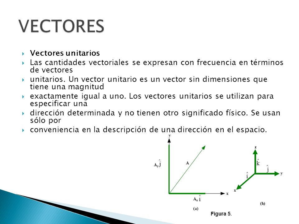 Significado De Vector at Vectorified.com | Collection of Significado De ...