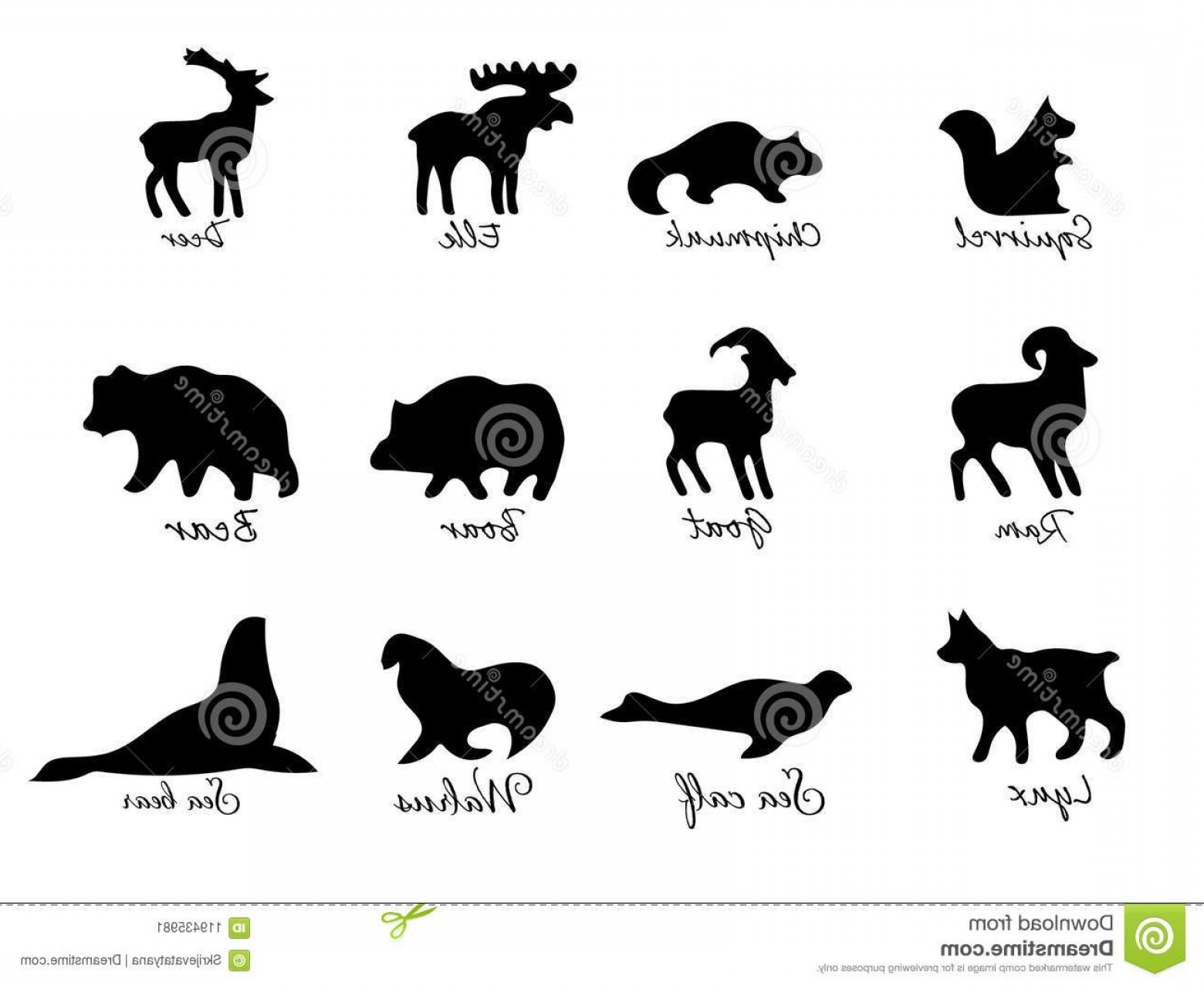 1560x1278 Sketch To Vector Horse Use With Silhouette Cameo Catamart