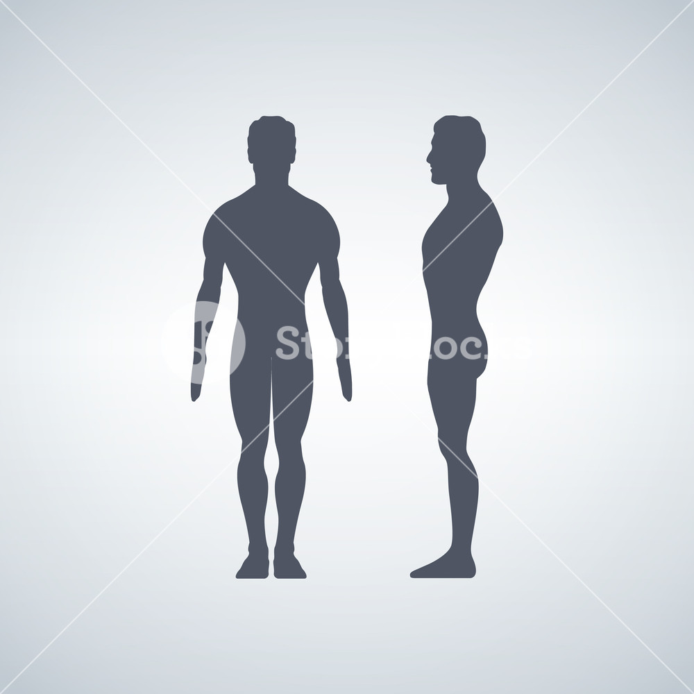 Vector Illustration Of Man S Figure Silhouettes Front Or Back 1000x1000 Vector Illustration Of Man S Figure Silhouettes Front Or Back