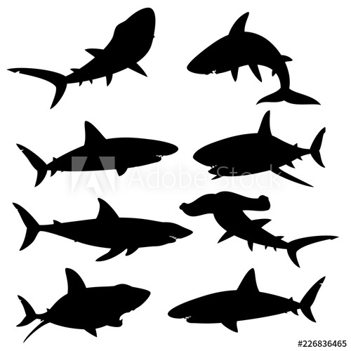 500x500 Set Of Silhouettes Sharks On A White Background Vector