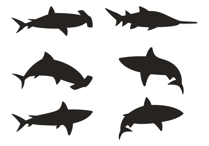 700x490 Shark Free Vector Art