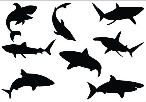 501x352 Shark Silhouette Vector Silhouette Clip Art Shark Silhouette