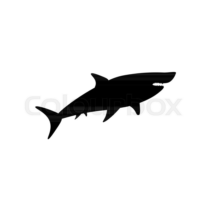 800x800 Shark Silhouette On The White Stock Vector Colourbox