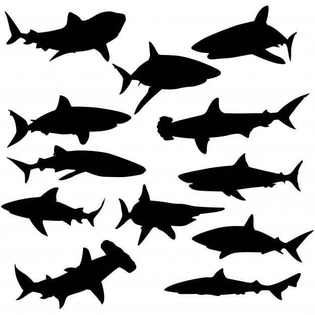 626x626 Shark Water Animal Clip Art Silhouette Vector Vector Premium