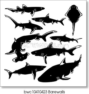 362x382 Sharks Vector Silhouette, Art Print Barewalls Posters Prints