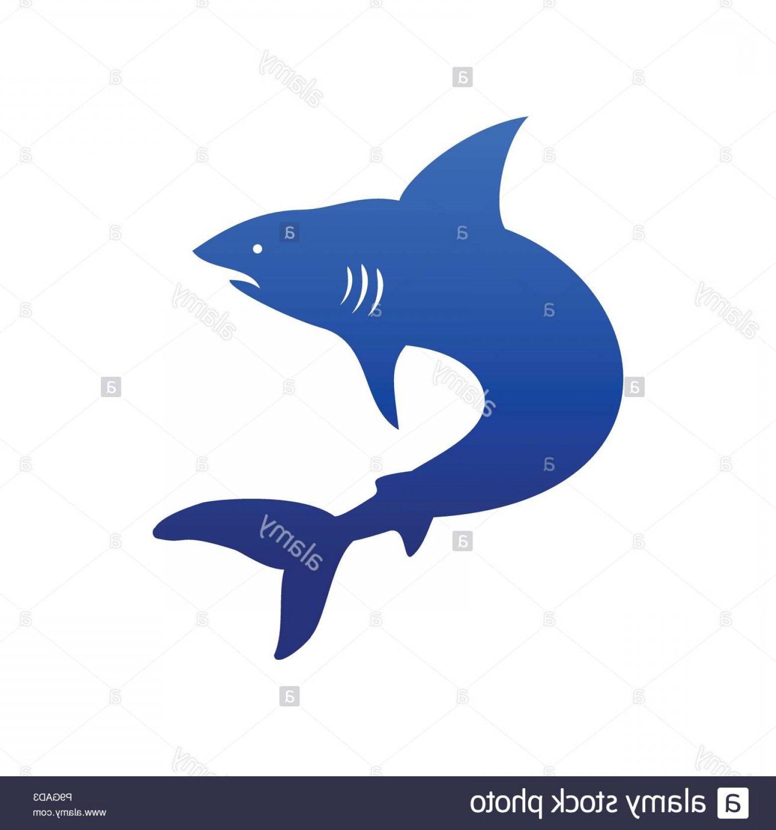 1560x1668 Creative Marine Deep Sea Shark Silhouette Vector Symbol Graphic