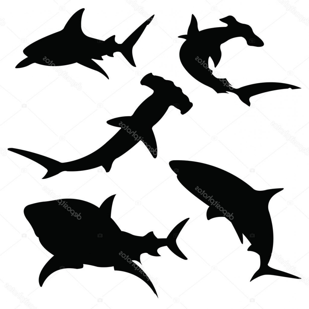 1228x1228 Stock Illustration Shark Vector Silhouettes Set Soidergi