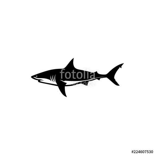 500x500 Shark Vector Silhouette Stock Image And Royalty Free Vector