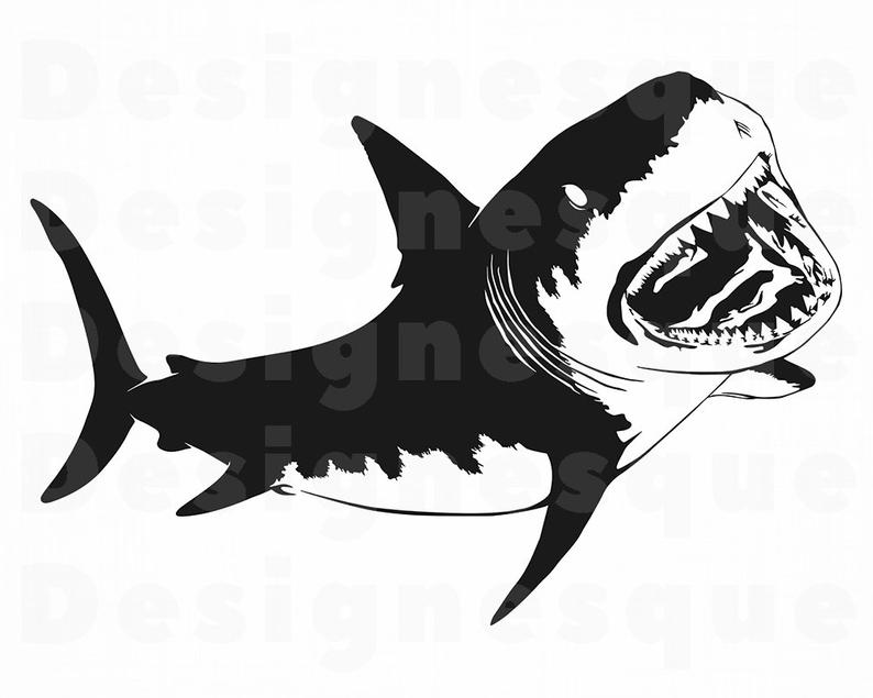 Download Silhouette Shark Vector at Vectorified.com | Collection of ...