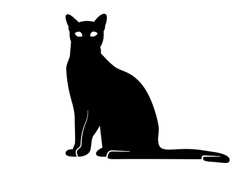 800x566 Cat Silhouette Vector