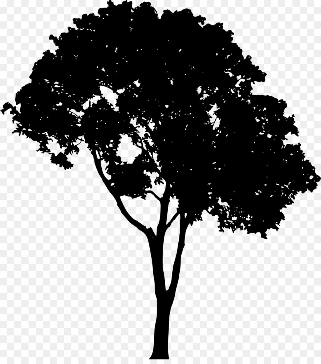 1080x1224 Png Tree Silhouette Clip Art Tree Vector Soidergi